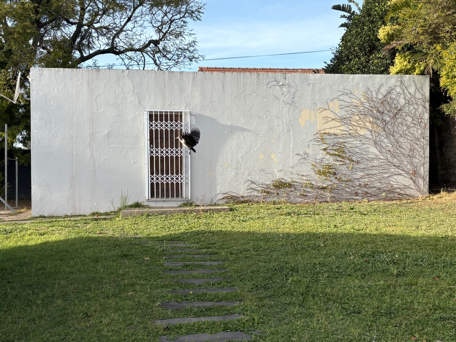 3 Bedroom Property for Sale in Selborne Eastern Cape